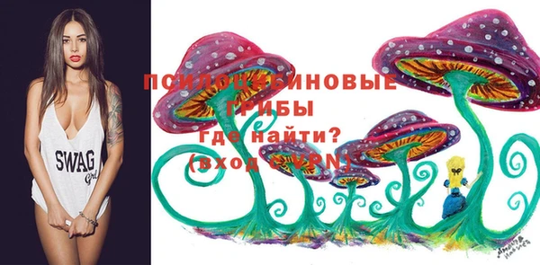 герыч Переславль-Залесский