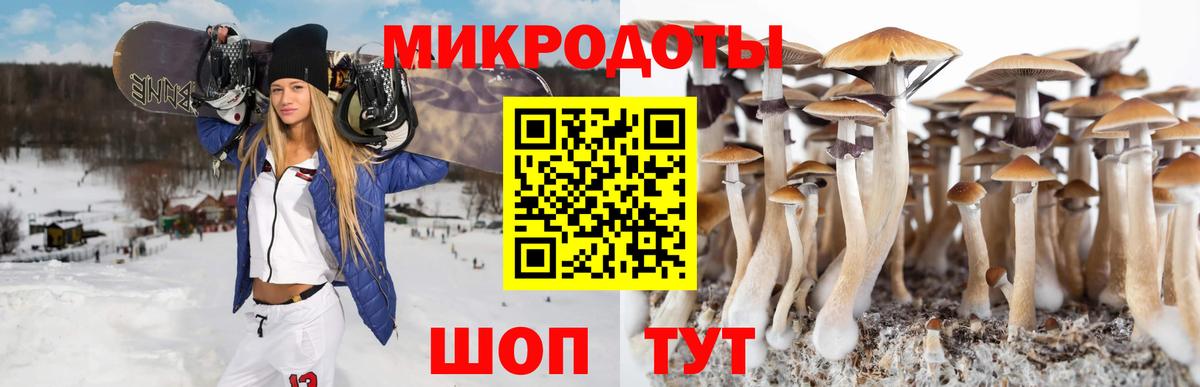 Галлюциногенные грибы Cubensis  Барнаул  Галлюциногенные грибы Magic Shrooms 