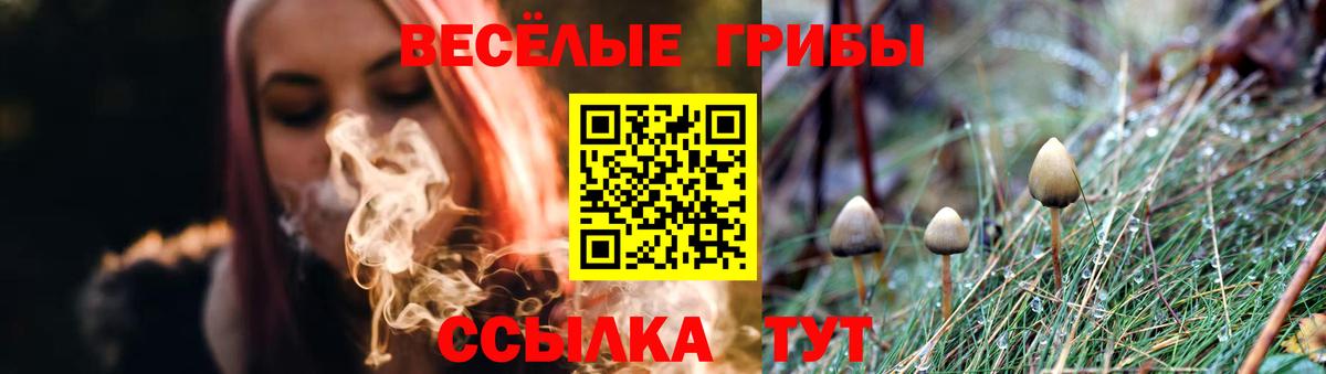 Галлюциногенные грибы мухоморы Барнаул